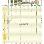  Set constructie GIANT SET VARIO BOX - 450 piese Walachia